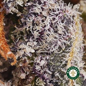 Buy weed Cherry Cookies AAAA wc cannabis weed dispensary & online pot shop