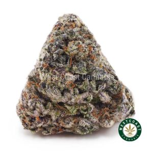 Buy weed Frosted Cherry Gelato AAAA wc cannabis weed dispensary & online pot shop