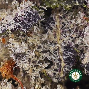 Buy weed Frosted Cherry Gelato AAAA wc cannabis weed dispensary & online pot shop