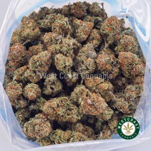 Buy weed Master Jedi AAA wc cannabis weed dispensary & online pot shop