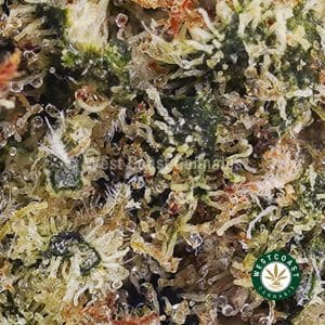 Buy weed Space Cookies AA wc cannabis weed dispensary & online pot shop Buy weed Space Cookies AA wc cannabis weed dispensary & online pot shop