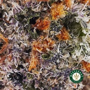 Buy weed Gouda Berry AAAA wc cannabis weed dispensary & online pot shop
