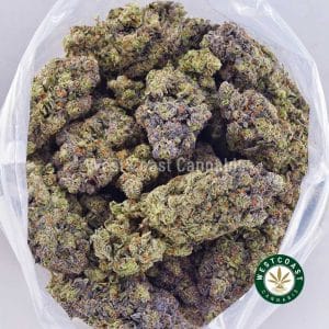 Buy weed White Runtz AAAA wc cannabis weed dispensary & online pot shop Buy weed White Runtz AAAA wc cannabis weed dispensary & online pot shop