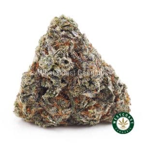 Buy weed Cherry Thunder Fuck AAA wc cannabis weed dispensary & online pot shop