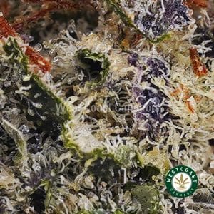 Buy weed Cherry Thunder Fuck AAA wc cannabis weed dispensary & online pot shop