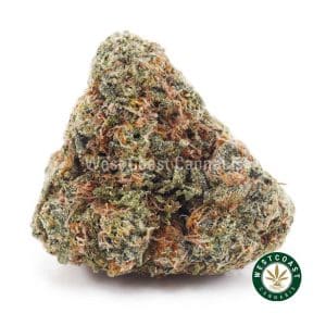 Buy weed Orange Julius AAA wc cannabis weed dispensary & online pot shop
