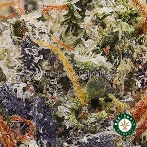 Buy weed Kosher Kush AAAA wc cannabis weed dispensary & online pot shop Buy weed Kosher Kush AAAA wc cannabis weed dispensary & online pot shop