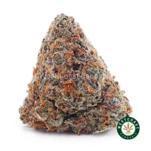 Buy weed Sunset Sherbet AAA wc cannabis weed dispensary & online pot shop