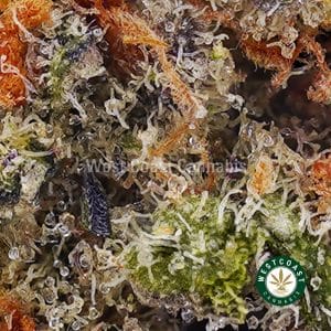 Buy weed Strawberries and Bananas AAA wc cannabis weed dispensary & online pot shop