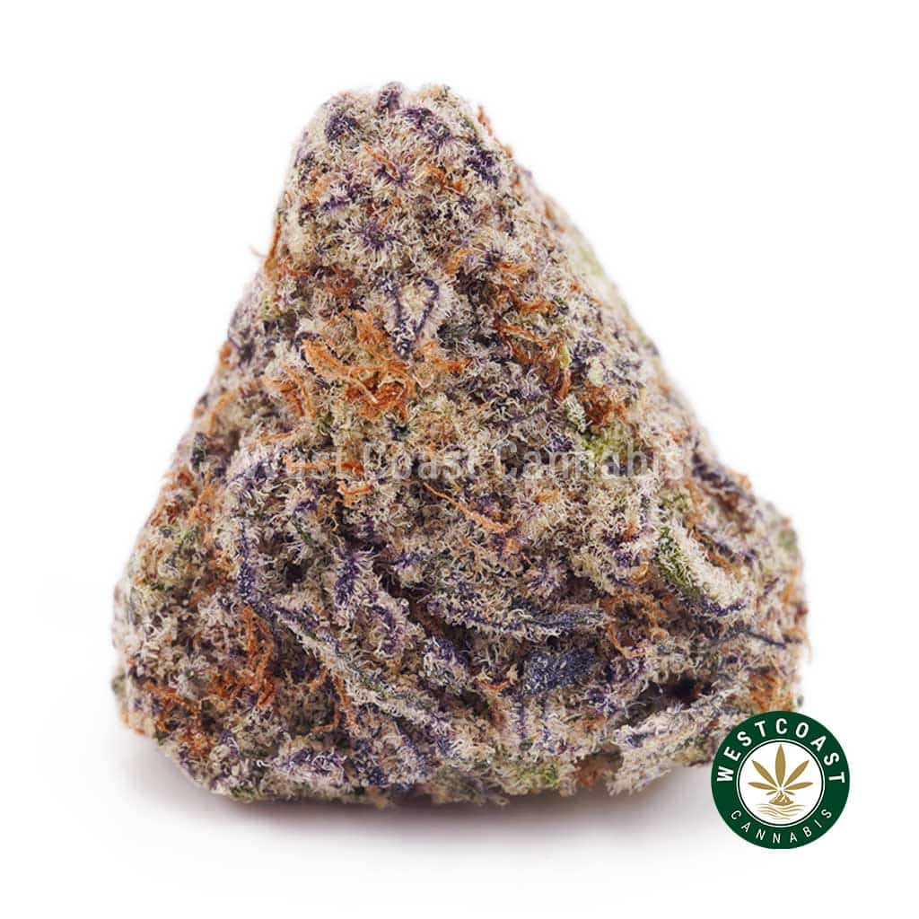 Buy weed Frosted Fruit Cake AAA wc cannabis weed dispensary & online pot shop Buy weed Frosted Fruit Cake AAA wc cannabis weed dispensary & online pot shop
