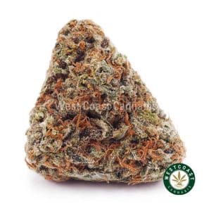 Buy weed Island Maui Kush AAA wc cannabis weed dispensary & online pot shop