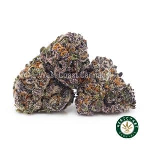 Buy weed Purple Candy AAAA (Popcorn Nugs) wc cannabis weed dispensary & online pot shop