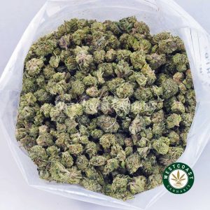 Buy weed Coconut Cream Cake AAAA (Popcorn Nugs) wc cannabis weed dispensary & online pot shop