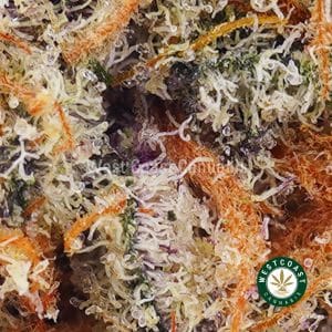Buy weed Cookies & Cream AAA wc cannabis weed dispensary & online pot shop
