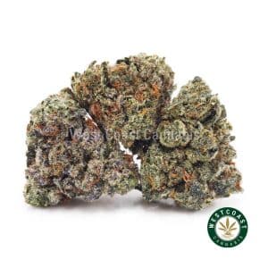 Buy weed Durban Poison AAA (Popcorn Nugs) wc cannabis weed dispensary & online pot shop