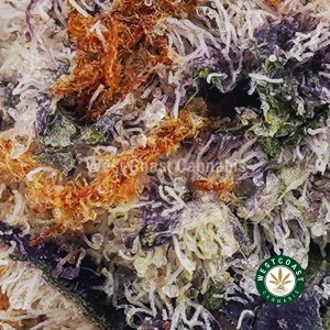 Buy weed Grapefruit Romulan AAAA (Popcorn Nugs) wc cannabis weed dispensary & online pot shop