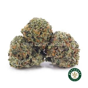 Buy weed Hindu Skunk AAA (Popcorn Nugs) wc cannabis weed dispensary & online pot shop