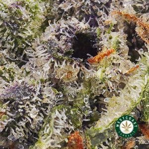 Buy weed Powdered Donuts AAAA (Popcorn Nugs) wc cannabis weed dispensary & online pot shop Buy weed Powdered Donuts AAAA (Popcorn Nugs) wc cannabis weed dispensary & online pot shop