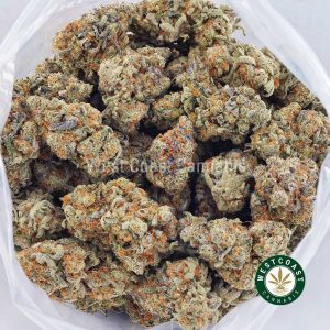 Buy weed Supreme Gelato AAAA wc cannabis weed dispensary & online pot shop
