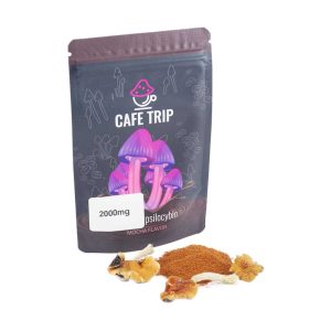 V206A1 CAFETRIP2000MG MOCHA