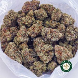 Buy weed Tropical Burst AAAA wc cannabis weed dispensary & online pot shop Buy weed Tropical Burst AAAA wc cannabis weed dispensary & online pot shop