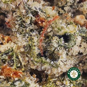 Buy weed Candy Cane Kush AAAA (Popcorn Nugs) wc cannabis weed dispensary & online pot shop