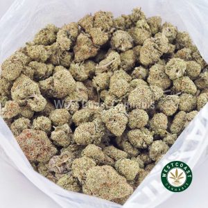 Buy weed Jungle Mintz AAAA (Popcorn Nugs) wc cannabis weed dispensary & online pot shop