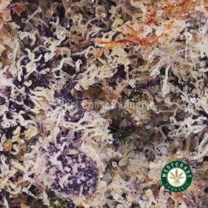 Buy weed Cotton Candy Kush AAAA (Popcorn Nugs) wc cannabis weed dispensary & online pot shop