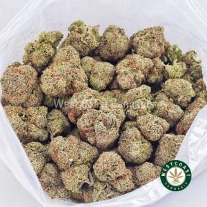 Buy weed Atomic Banana Punch AAAA wc cannabis weed dispensary & online pot shop Buy weed Atomic Banana Punch AAAA wc cannabis weed dispensary & online pot shop