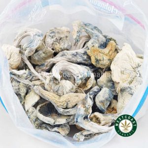 Buy Shrooms - Albino Jedi Mindfuck wc cannabis Shrooms dispensary & online pot shop