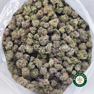 Buy Candy Land AAAA (Popcorn Nugs) wc cannabis weed dispensary & online pot shop