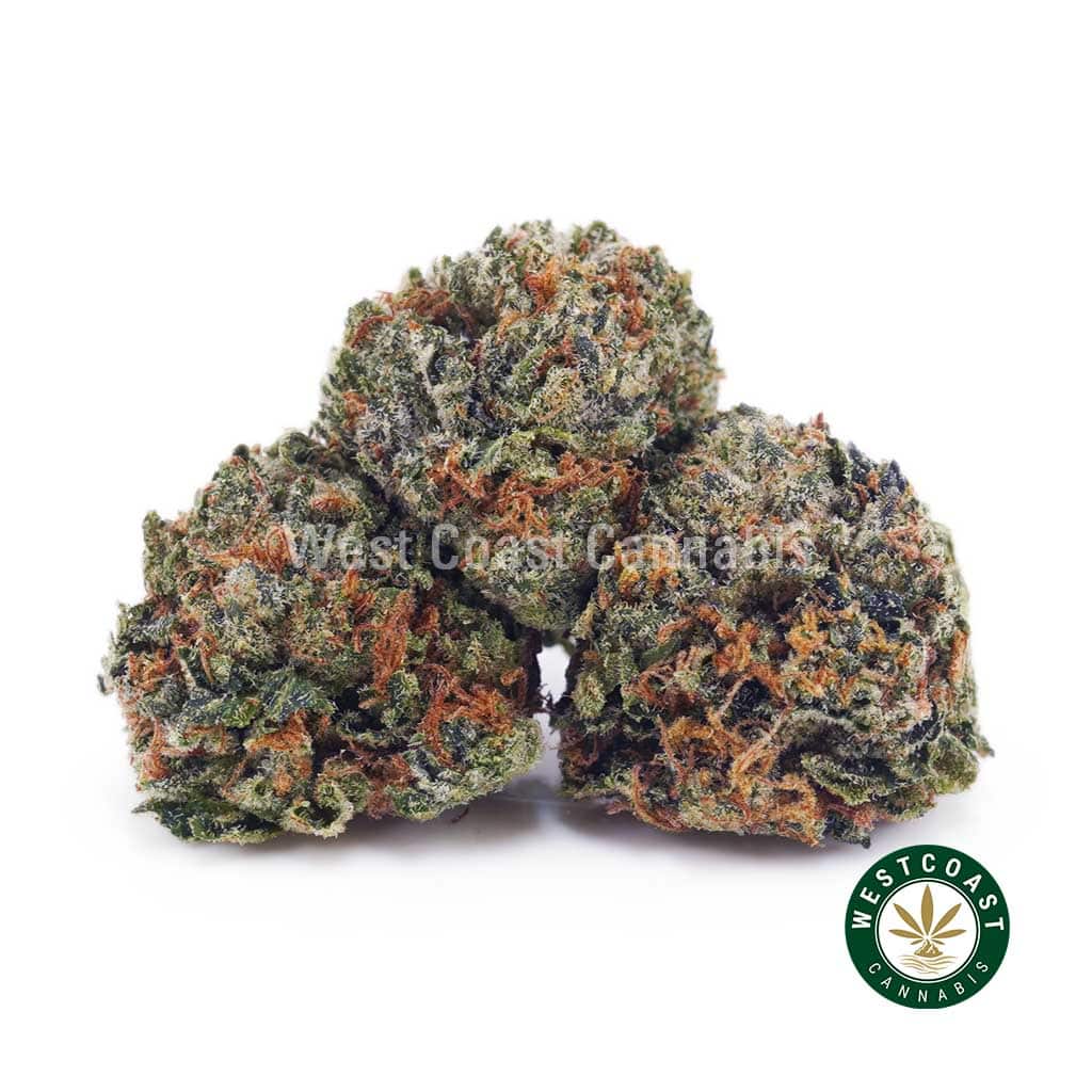 Buy Romulan AAAA (Popcorn Nugs) wc cannabis weed dispensary & online pot shop Buy Romulan AAAA (Popcorn Nugs) wc cannabis weed dispensary & online pot shop