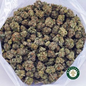 Buy Romulan AAAA (Popcorn Nugs) wc cannabis weed dispensary & online pot shop Buy Romulan AAAA (Popcorn Nugs) wc cannabis weed dispensary & online pot shop