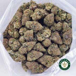 Buy Lemon Skunk AAA wc cannabis weed dispensary & online pot shop Buy Lemon Skunk AAA wc cannabis weed dispensary & online pot shop