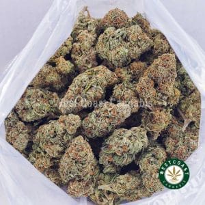 Buy Corleone Kush AA wc cannabis weed dispensary & online pot shop Buy Corleone Kush AA wc cannabis weed dispensary & online pot shop
