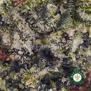 Buy Mango Tango AAA (Popcorn Nugs) wc cannabis weed dispensary & online pot shop Buy Mango Tango AAA (Popcorn Nugs) wc cannabis weed dispensary & online pot shop