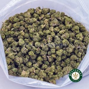 Buy Mango Tango AAA (Popcorn Nugs) wc cannabis weed dispensary & online pot shop Buy Mango Tango AAA (Popcorn Nugs) wc cannabis weed dispensary & online pot shop