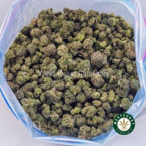 Buy Candyland AAA (Popcorn Nugs) wc cannabis weed dispensary & online pot shop