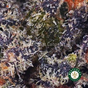 Buy Galactic Death Star AA wc cannabis weed dispensary & online pot shop