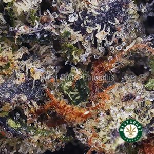 Buy Pink Bubba AAA wc cannabis weed dispensary & online pot shop