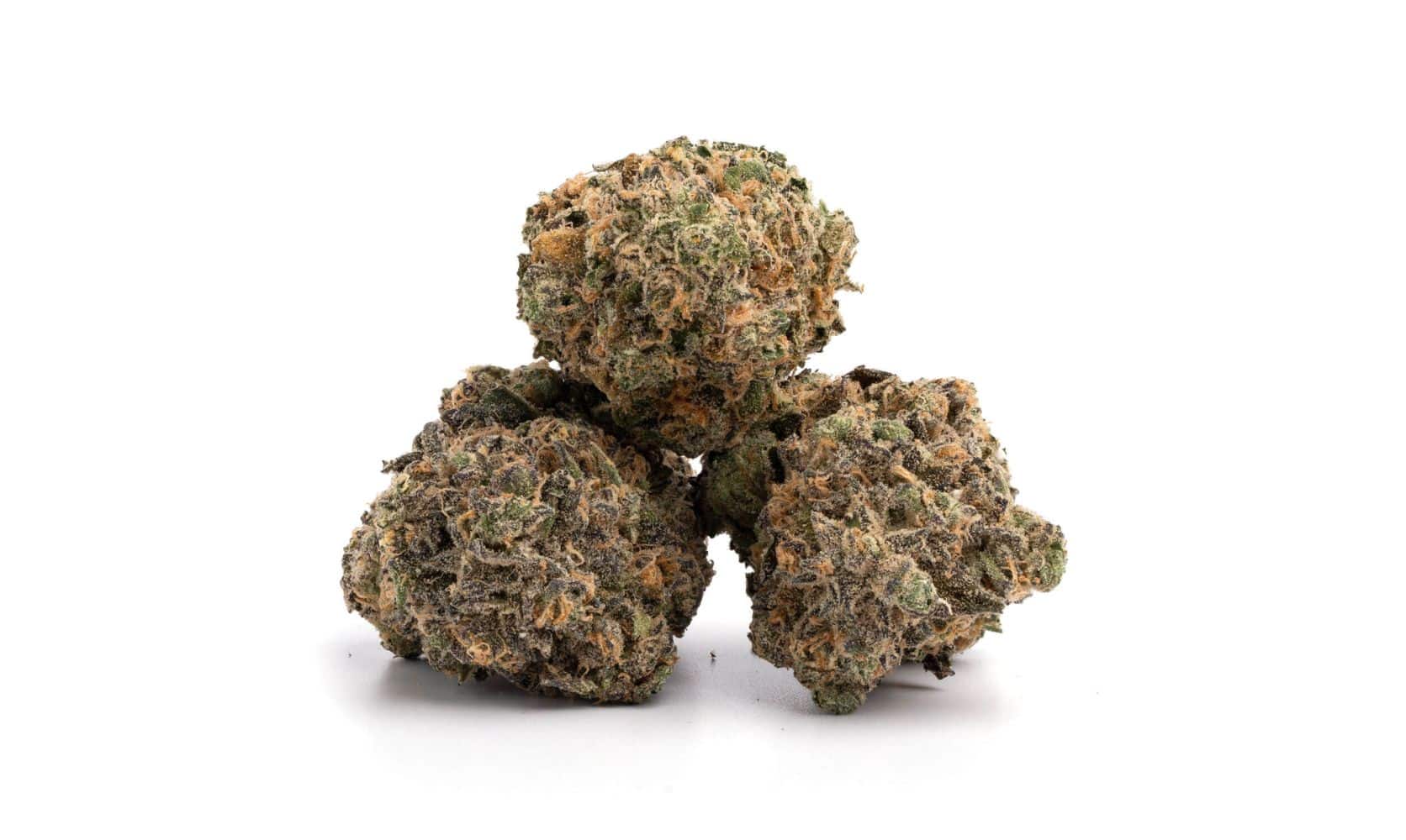 Discover the Finest Top Shelf BC Buds at Our Online Dispensary in Canada