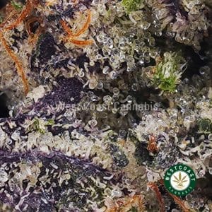 Buy Pink Kush AAAA (Popcorn Nugs) wc cannabis weed dispensary & online pot shop