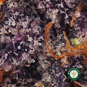 Buy Atomic Pink AAAA (Popcorn Nugs) wc cannabis weed dispensary & online pot shop