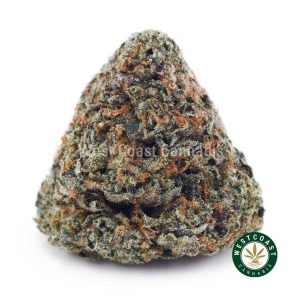 Buy Pineapple Express AAA wc cannabis weed dispensary & online pot shop