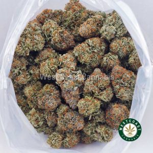 Buy Pineapple Express AAA wc cannabis weed dispensary & online pot shop