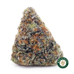 PINKBUBBA WCCANNABIS