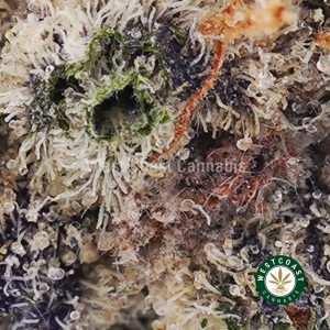 Buy Dragon Fruit Kush AAAA (Popcorn Nugs) wc cannabis weed dispensary & online pot shop