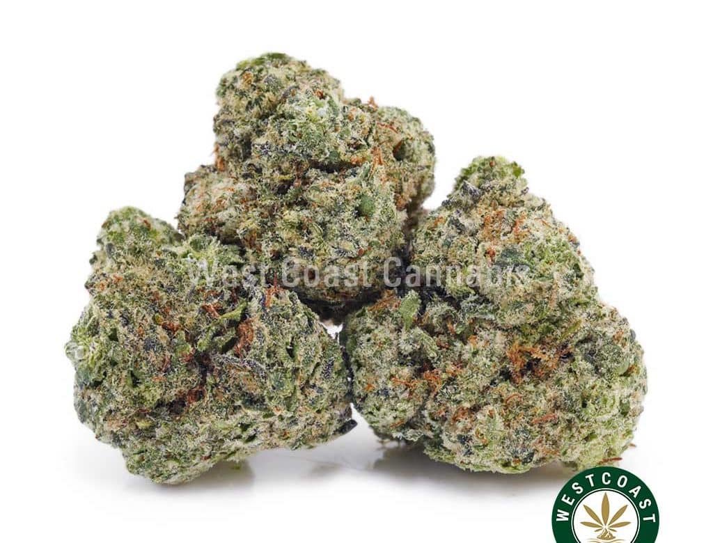 Buy Silverback Gorilla AAAA (Popcorn Nugs) wc cannabis weed dispensary & online pot shop