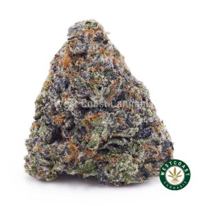 Buy Pink Rob Ford AAAA+ wc cannabis weed dispensary & online pot shop