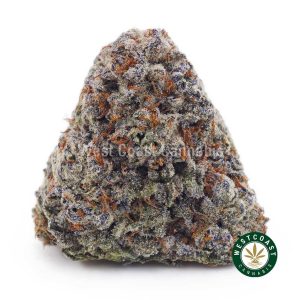 Buy Oreoz AAAA wc cannabis weed dispensary & online pot shop